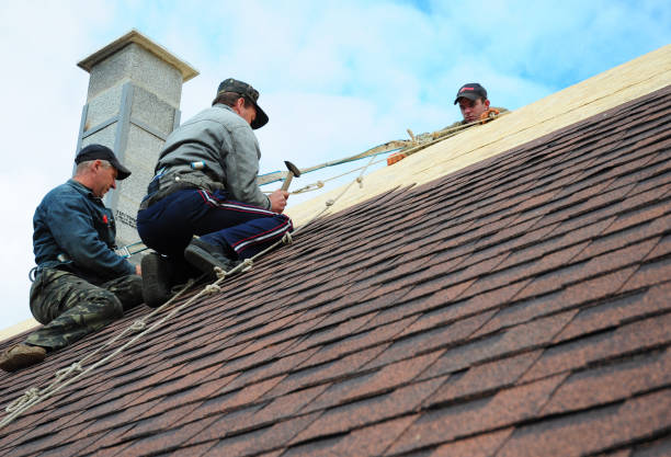 Best Local Roofing Companies  in New Mford, IL